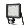 30w IP67, LED Floodlight With PIR Sensor, 6000K IP65 Black