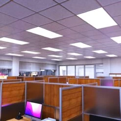 LED Panel, 1195x595mm, TP(b), Cool White LED -LED Downlights Store pan 1260 cct lifestyle office cw camera 2 compressed