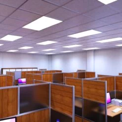 LED Panel, 1200x600mm, TP(b), Cool, Warm And Natural White LED 19 LED Panel, 1200x600mm, TP(b), Cool, Warm And Natural White LED -LED Downlights Store pan 1260 cct lifestyle office cw camera 4 compressed