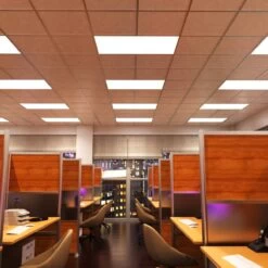 LED Panel, 1200x600mm, TP(b), Natural White LED 16 LED Panel, 1200x600mm, TP(b), Natural White LED -LED Downlights Store pan 1260 cct lifestyle office nw camera 3 compressed