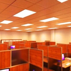 LED Panel, 1200x600mm, TP(b), Cool, Warm And Natural White LED 23 LED Panel, 1200x600mm, TP(b), Cool, Warm And Natural White LED -LED Downlights Store pan 1260 cct lifestyle office ww camera 4 compressed